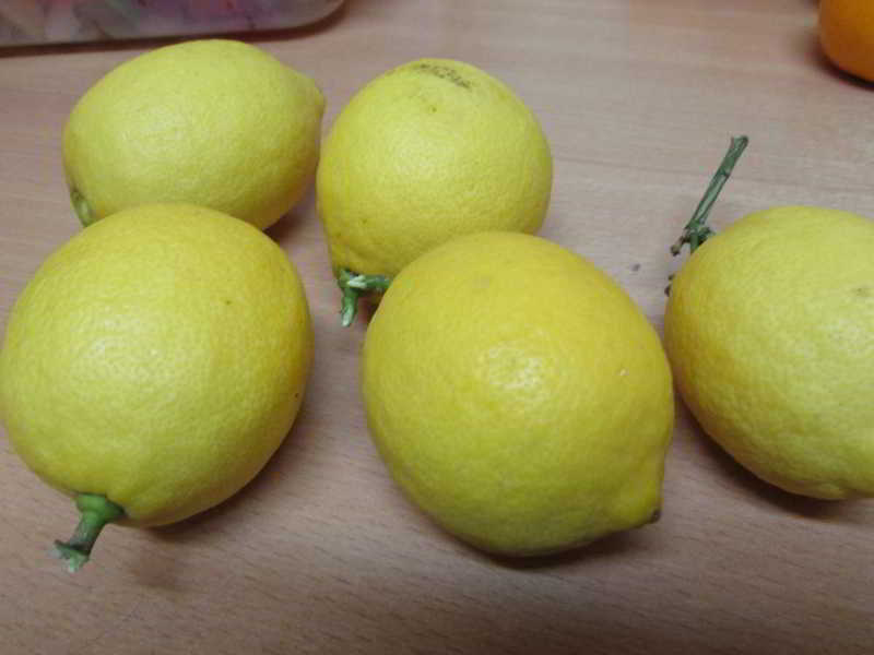 icon-Limones.jpg