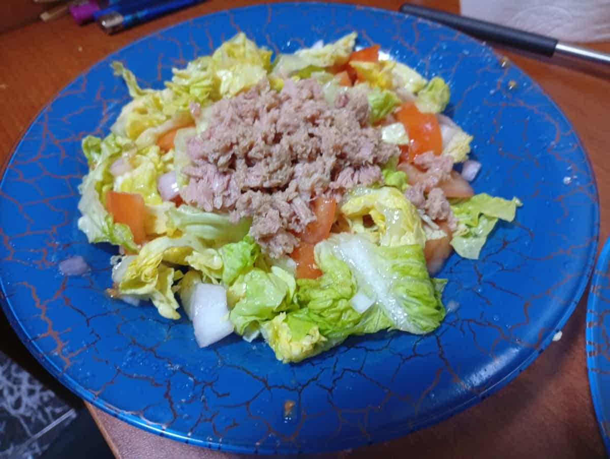 icon-Ensalada-de-Lechuga-Cebolla-Tomate-y-Atun.jpeg