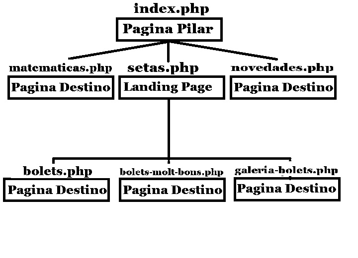 0-Estructura-de-Ejemplo