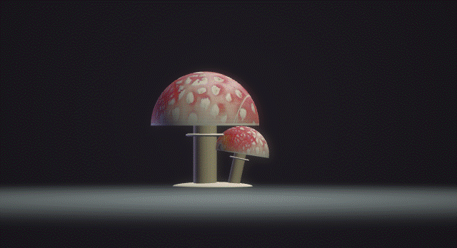 Setas-Amanita-Muscaria